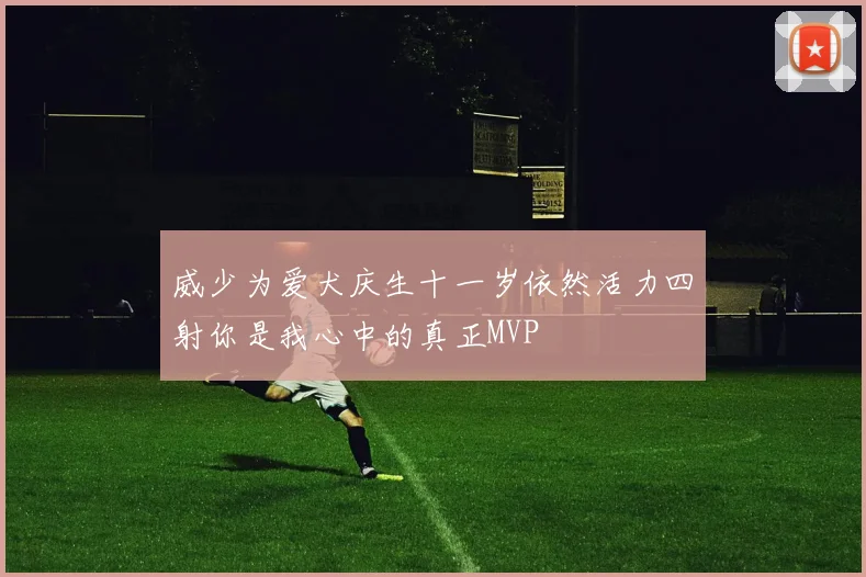 威少为爱犬庆生十一岁依然活力四射你是我心中的真正MVP