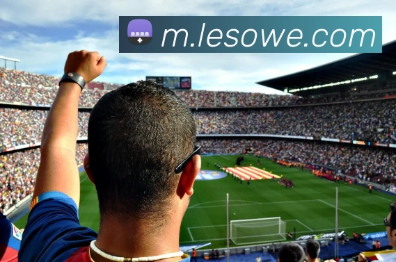 mksports平台生态图